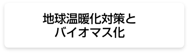 地球温暖化対策とバイオマス化