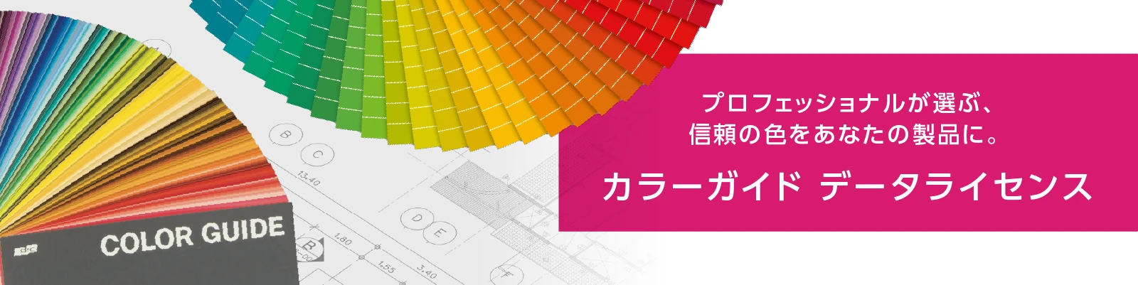 カラーガイド データライセンス